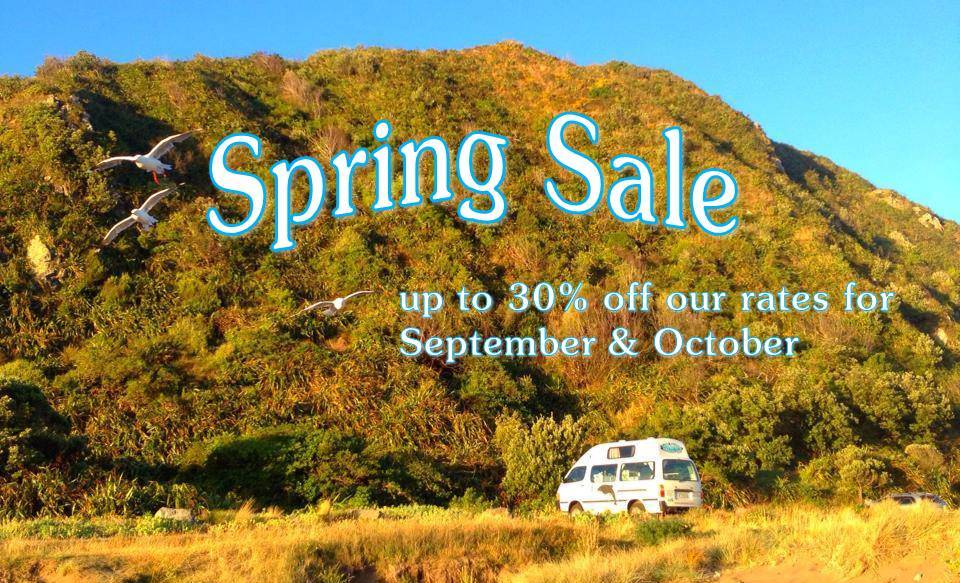 PiwiWiwi Spring CamperVan Sale